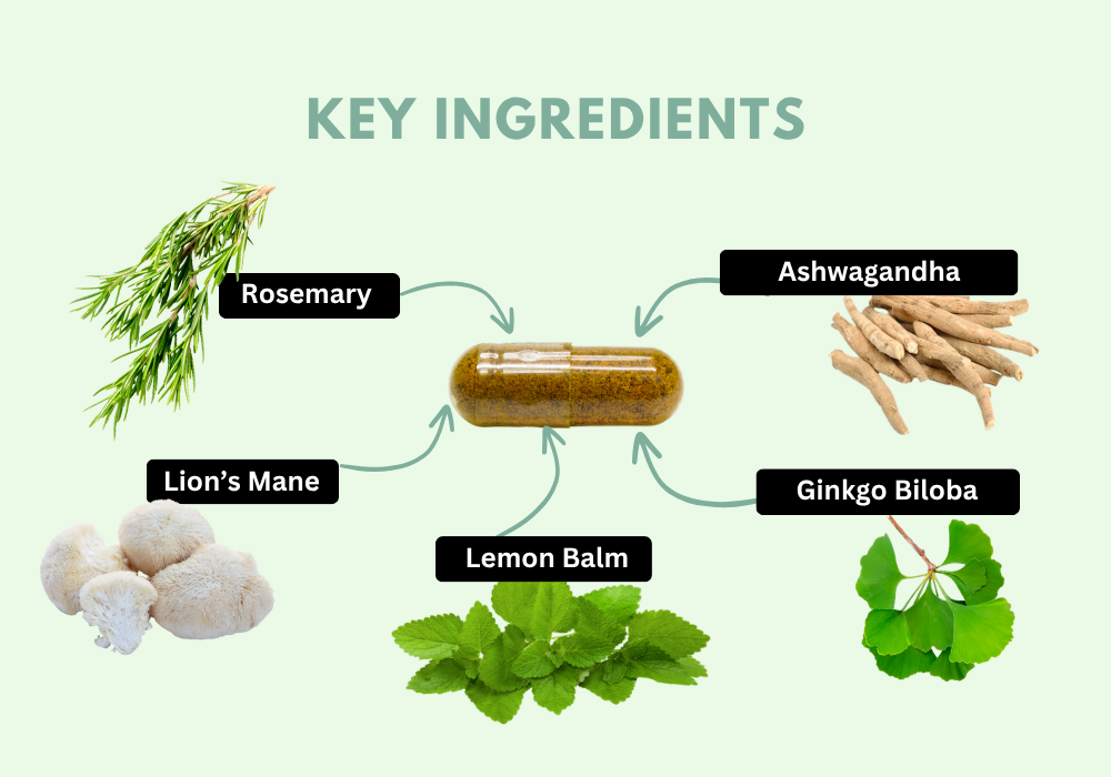 Key Ingredients