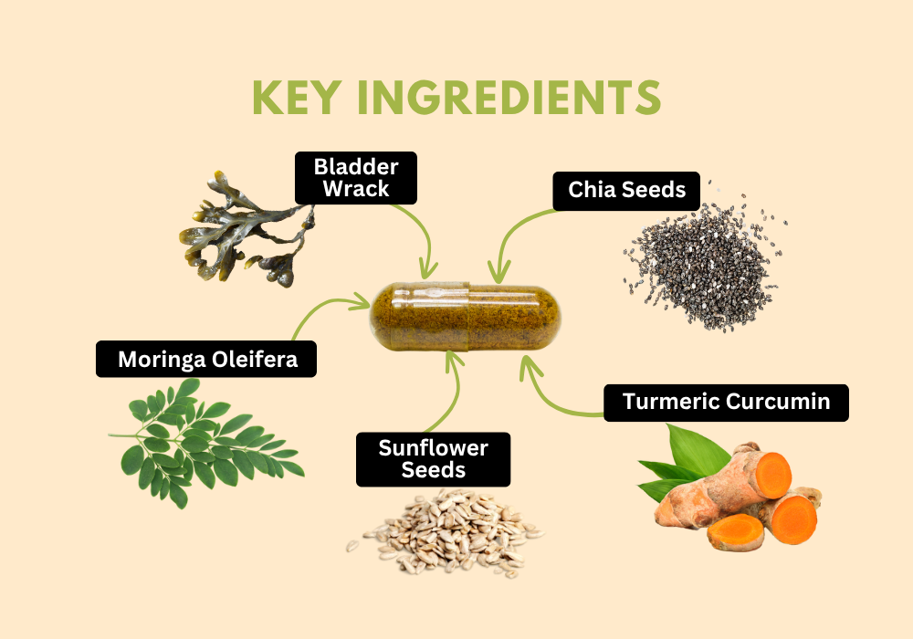Key Ingredients
