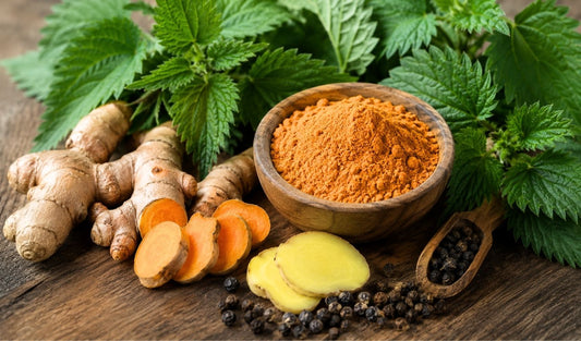 Best Herbs for Joint Comfort That Make Sense