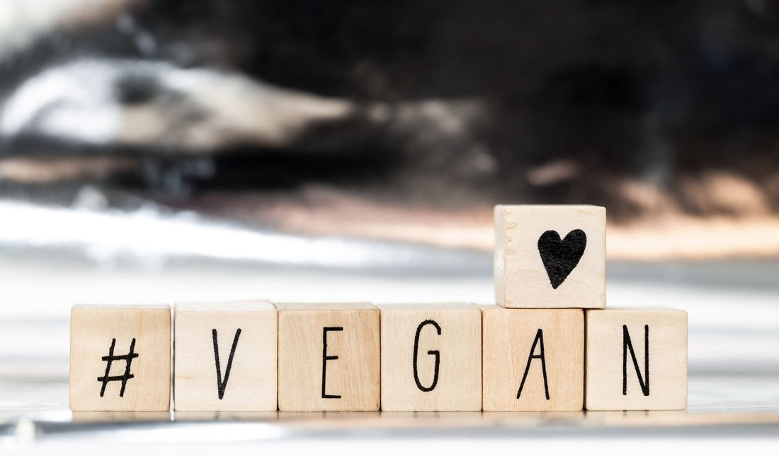 Best Vegan Supplements UK: What Matters