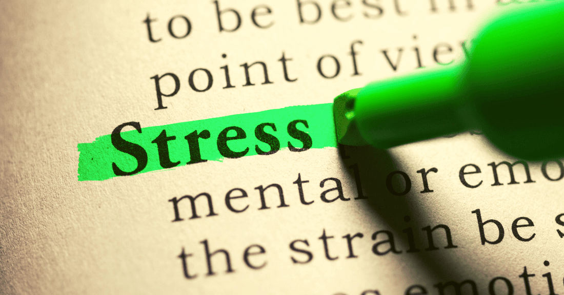 Stressed? Natural Remedies for Stress & Anxiety - Strength & Spices Ltd.