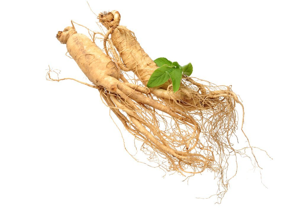 Ginseng – Ingredient Spotlight - Strength & Spices Ltd.