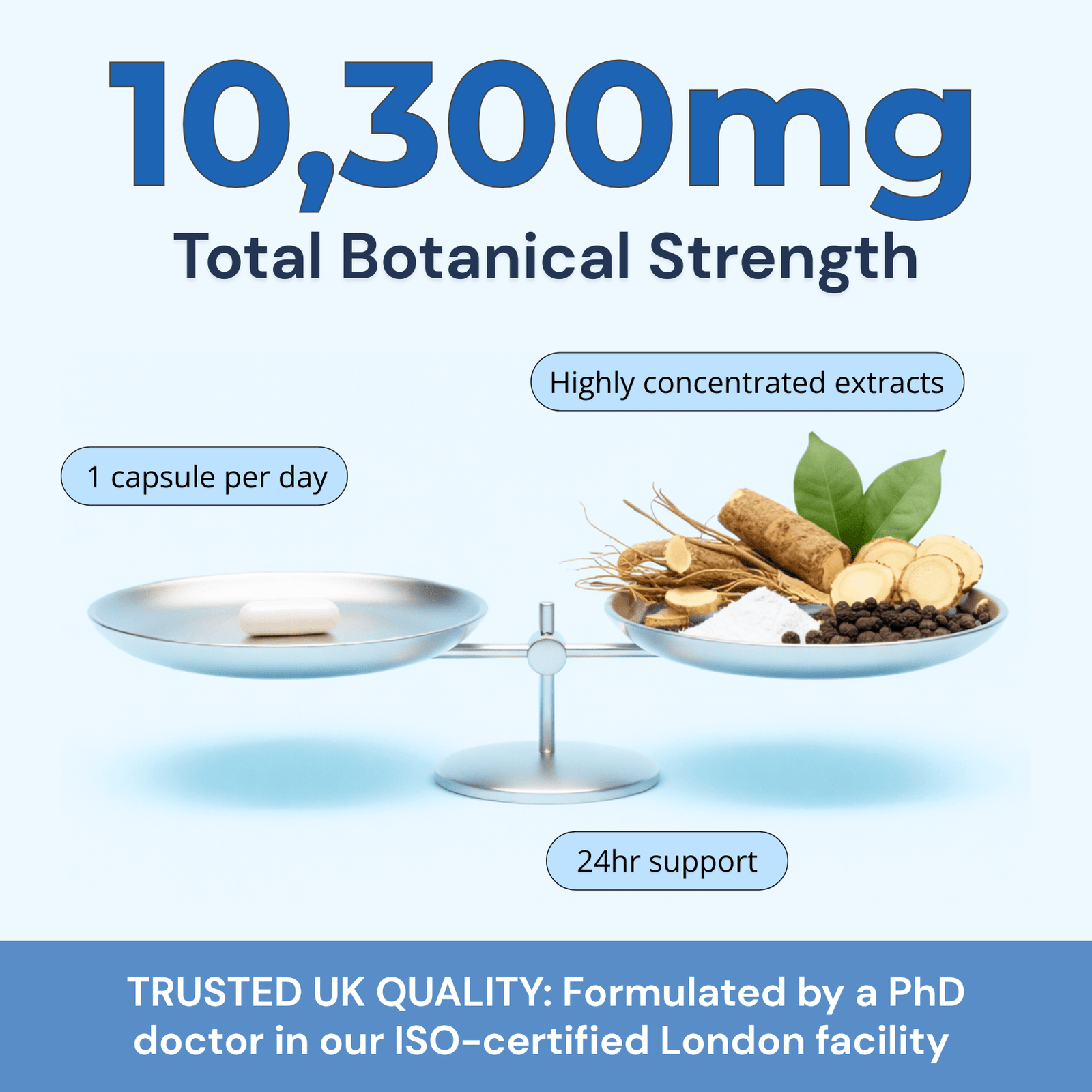Sleep Support 10,300mg, with Ashwagandha KSM - 66®, Valerian & L - Tryptophan - Strength & Spices Ltd. Supplement