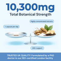 Sleep Support 10,300mg, with Ashwagandha KSM - 66®, Valerian & L - Tryptophan - Strength & Spices Ltd. Supplement