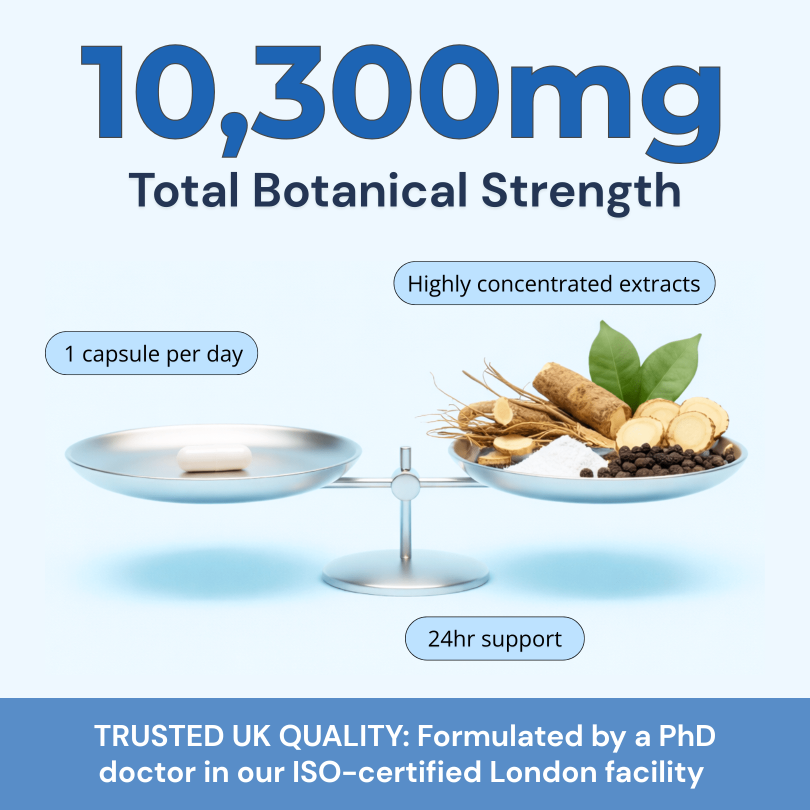 Sleep Support 10,300mg, with Ashwagandha KSM - 66®, Valerian & L - Tryptophan - Strength & Spices Ltd. Supplement