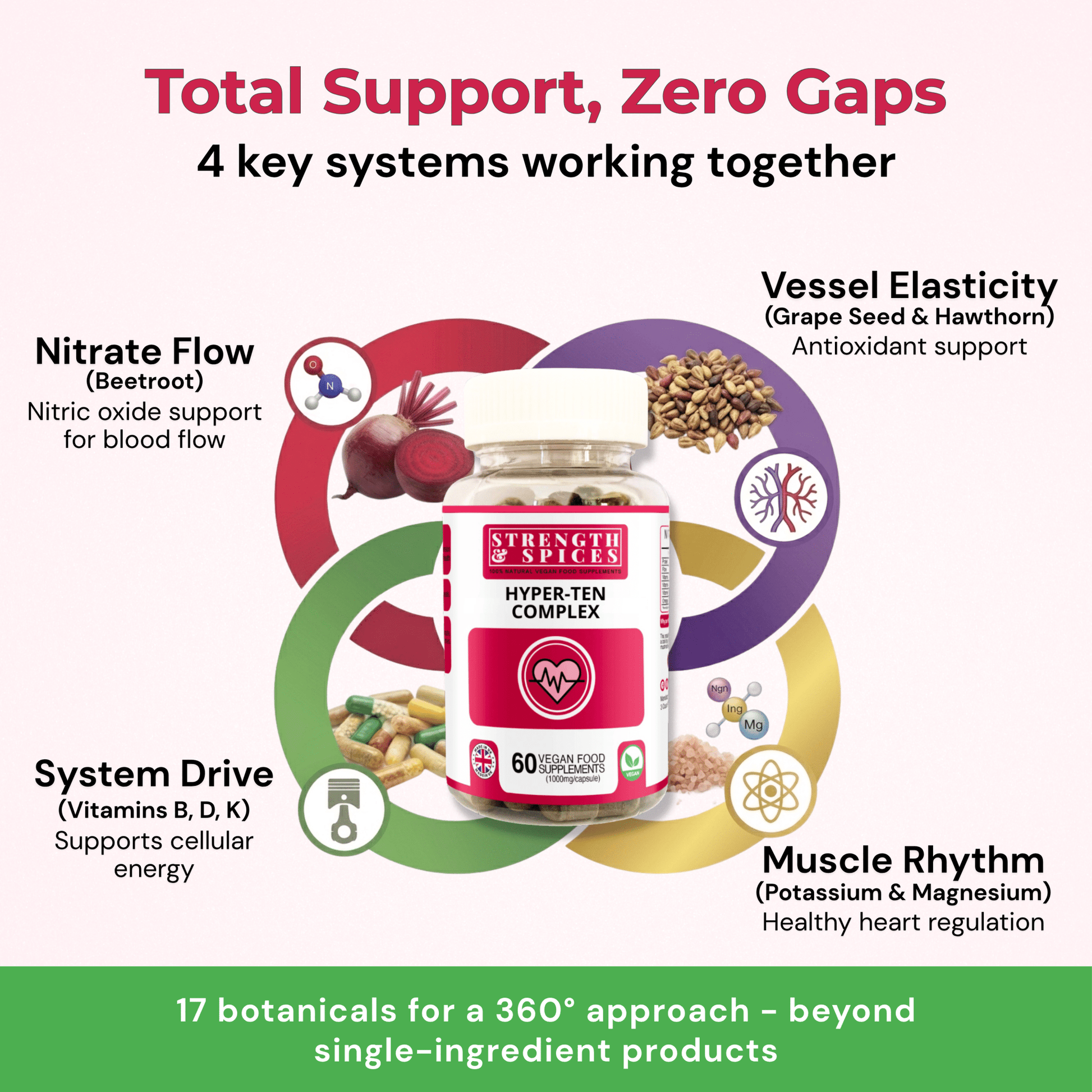 Hyper - Ten Support (Blood Pressure Aid) - Strength & Spices Ltd. Supplement