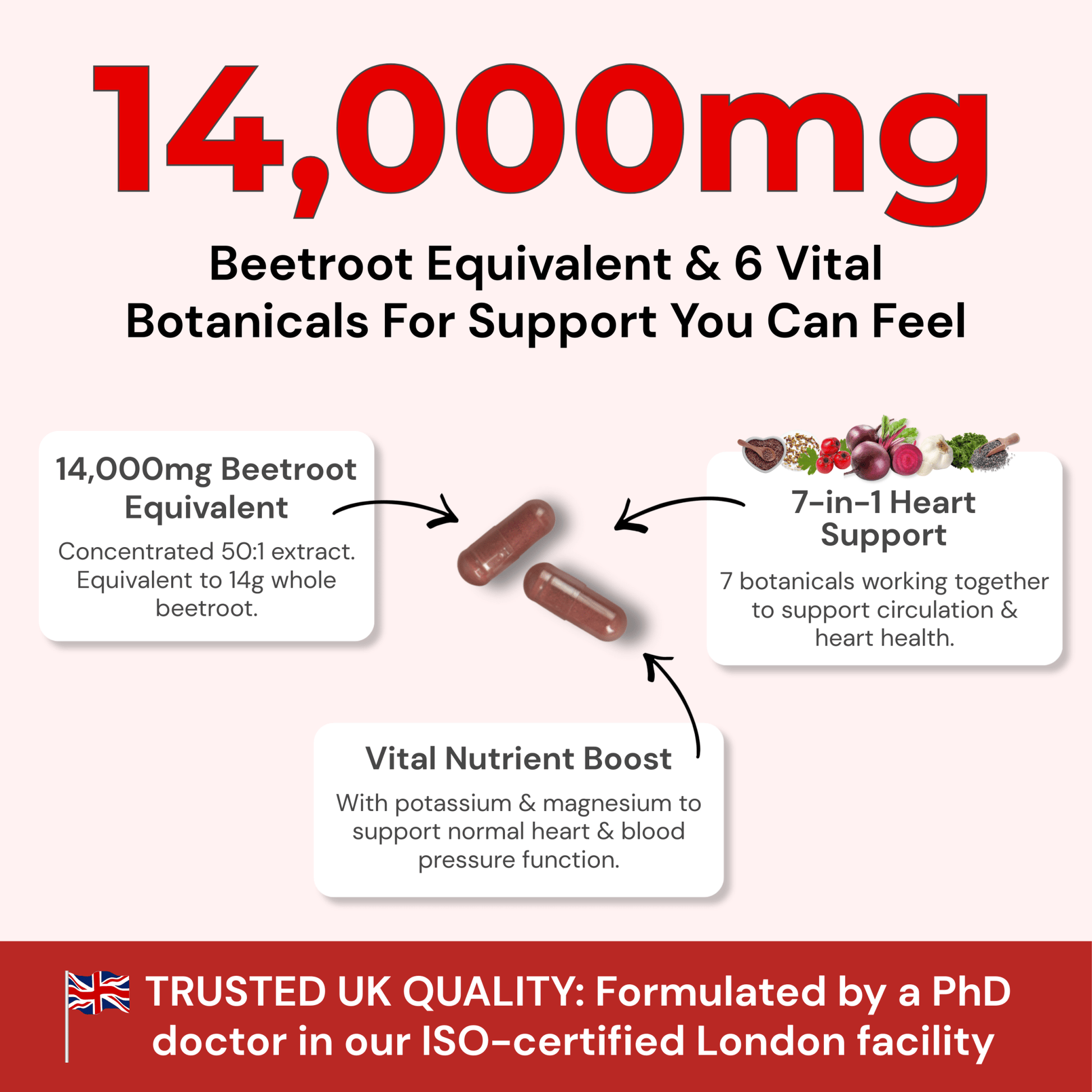 14,000mg Beetroot Blood Pressure Support - 7 Botanicals - Strength & Spices Ltd.