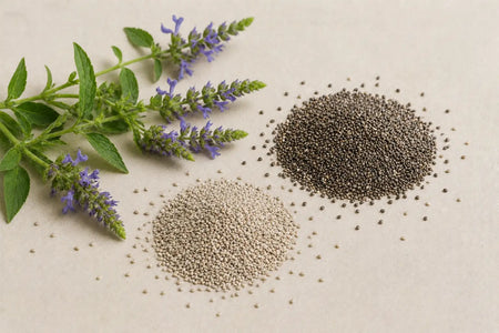 Chia Seed