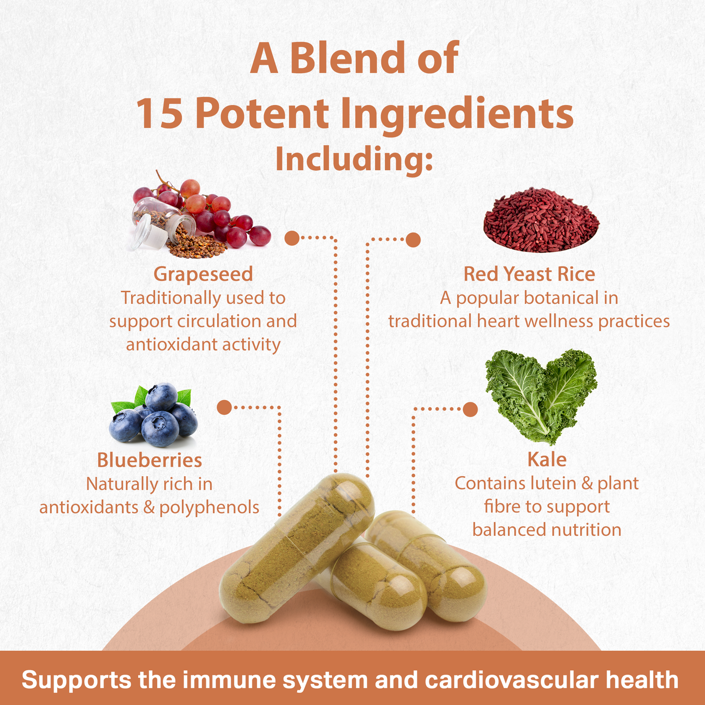 Cholesterol Care