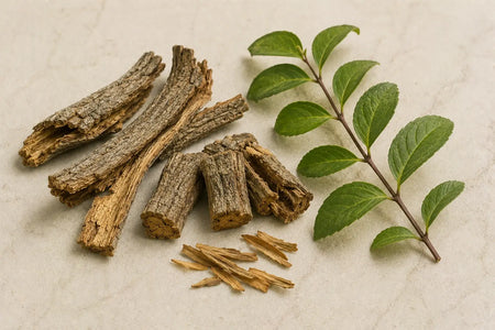 Cramp Bark