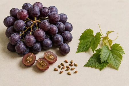 Grape Seed