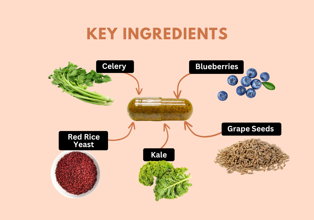 Key Ingredients