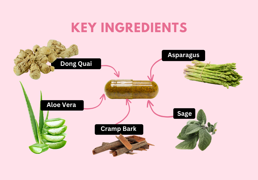 Key Ingredients