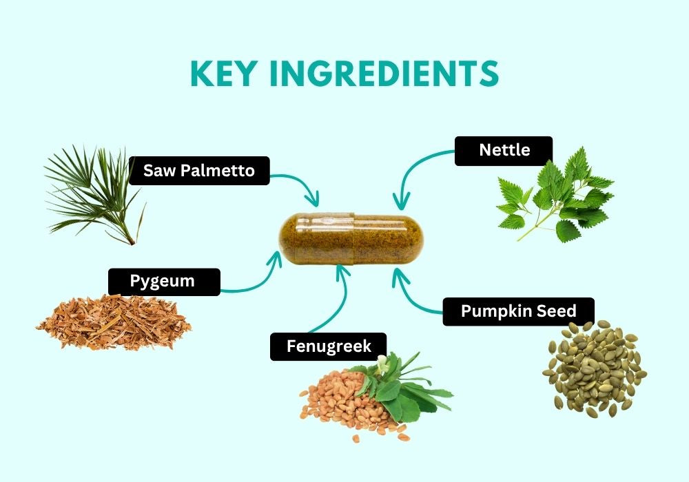 Key Ingredients