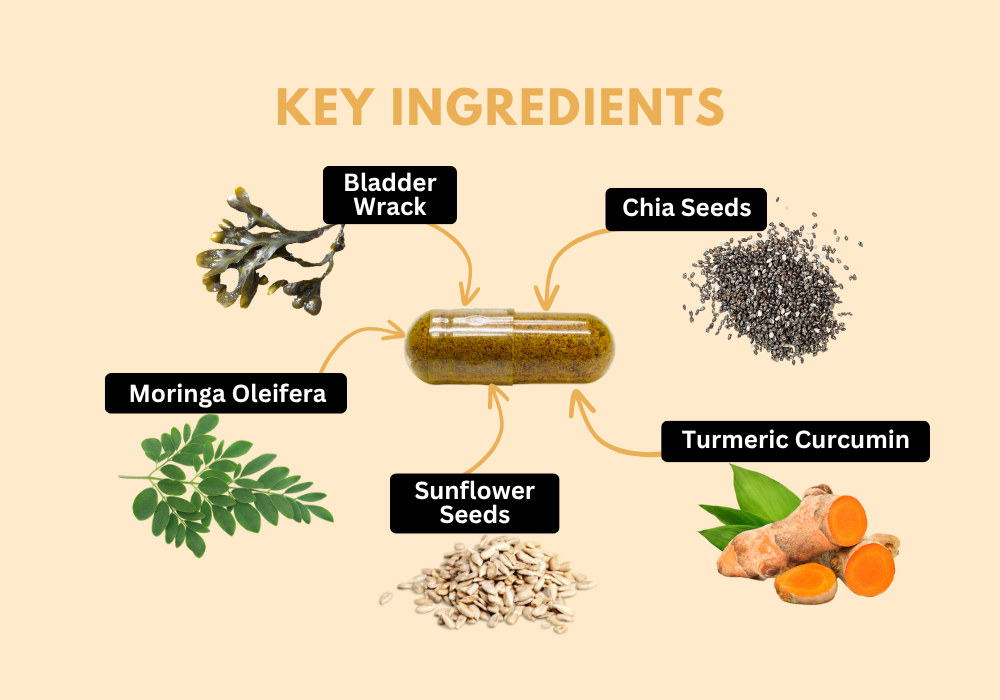 Key Ingredients