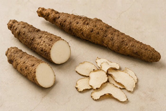 Mexican Wild Yam