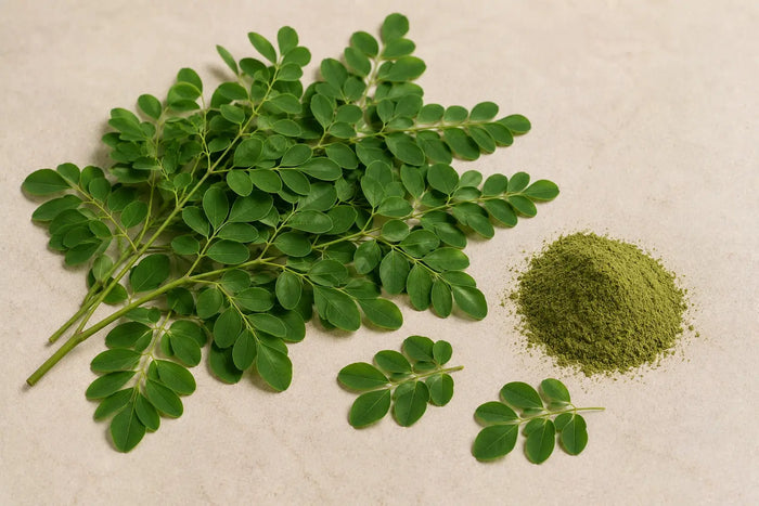 Moringa Oleifera