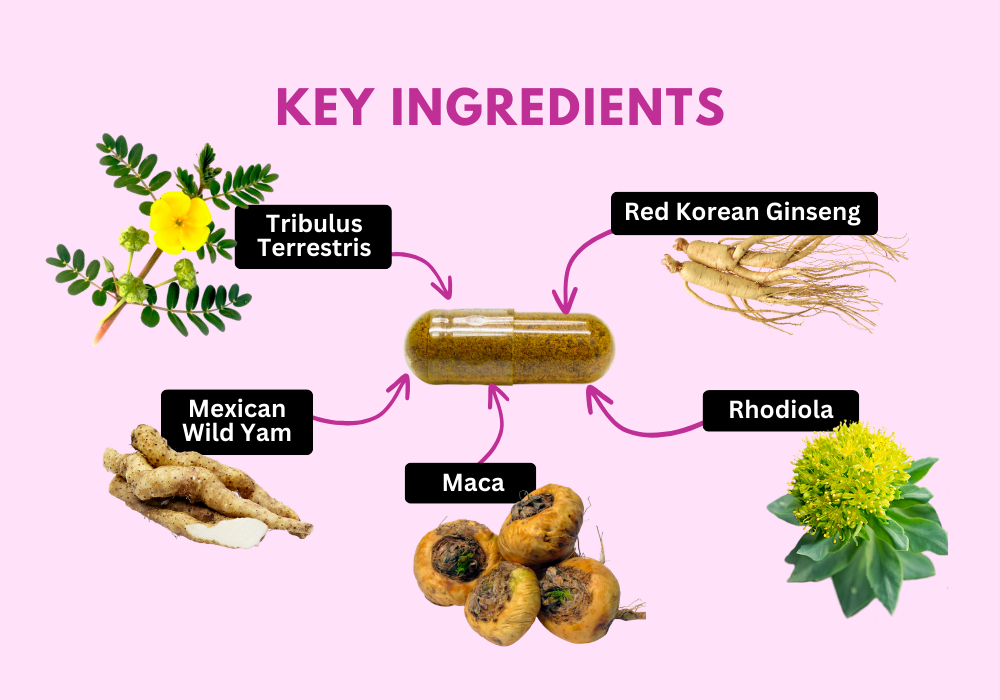 Key Ingredients