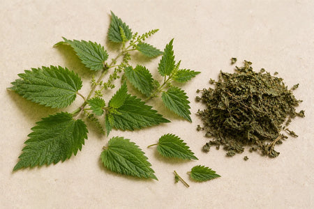 Nettle