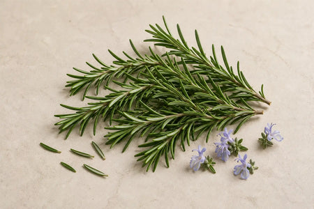 Rosemary