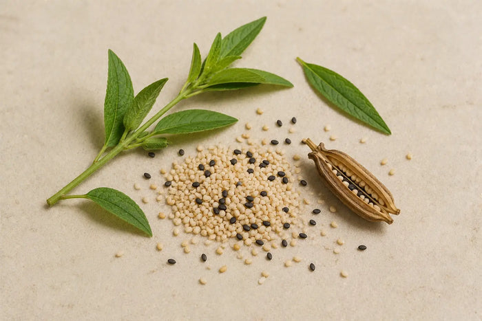 Sesame Seeds