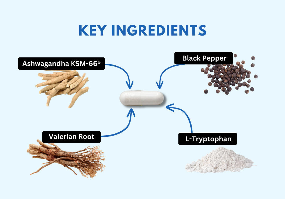 Key Ingredients